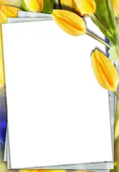 श्रेणी से फ़ोटो प्रभाव महिलाओं के फोटो फ्रेम № 166167