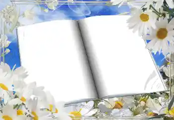 श्रेणी से फ़ोटो प्रभाव महिलाओं के फोटो फ्रेम № 166181