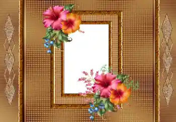 श्रेणी से फ़ोटो प्रभाव महिलाओं के फोटो फ्रेम № 166245