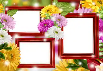 श्रेणी से फ़ोटो प्रभाव महिलाओं के फोटो फ्रेम № 166266