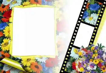 श्रेणी से फ़ोटो प्रभाव महिलाओं के फोटो फ्रेम № 166315