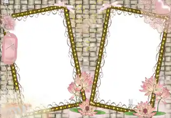 श्रेणी से फ़ोटो प्रभाव महिलाओं के फोटो फ्रेम № 166453