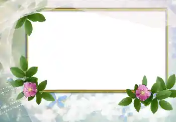 श्रेणी से फ़ोटो प्रभाव महिलाओं के फोटो फ्रेम № 166503