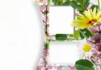 श्रेणी से फ़ोटो प्रभाव महिलाओं के फोटो फ्रेम № 166607