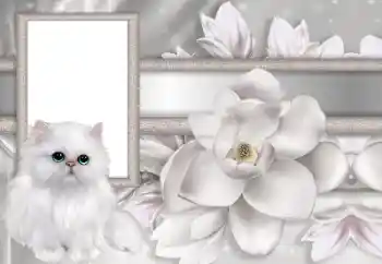 श्रेणी से फ़ोटो प्रभाव महिलाओं के फोटो फ्रेम № 167744