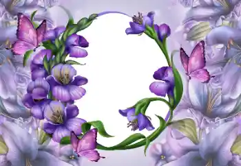 श्रेणी से फ़ोटो प्रभाव महिलाओं के फोटो फ्रेम № 167768