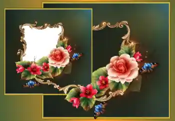 श्रेणी से फ़ोटो प्रभाव महिलाओं के फोटो फ्रेम № 167800