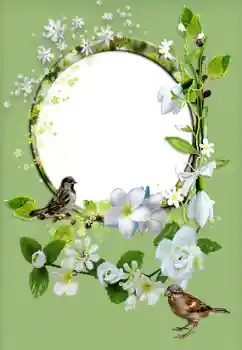 श्रेणी से फ़ोटो प्रभाव महिलाओं के फोटो फ्रेम № 167829