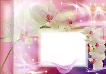 श्रेणी से फ़ोटो प्रभाव महिलाओं के फोटो फ्रेम № 167835