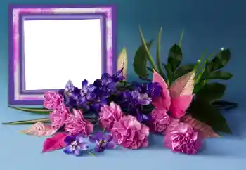 श्रेणी से फ़ोटो प्रभाव महिलाओं के फोटो फ्रेम № 167856