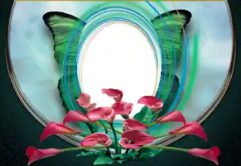 श्रेणी से फ़ोटो प्रभाव महिलाओं के फोटो फ्रेम № 167874