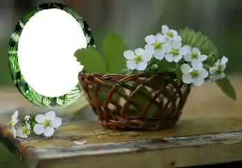 श्रेणी से फ़ोटो प्रभाव महिलाओं के फोटो फ्रेम № 167999