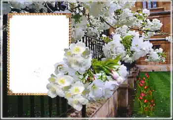 श्रेणी से फ़ोटो प्रभाव महिलाओं के फोटो फ्रेम № 169025