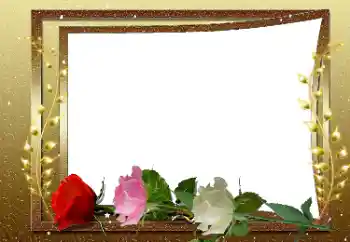 श्रेणी से फ़ोटो प्रभाव महिलाओं के फोटो फ्रेम № 169033