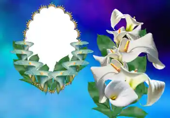 श्रेणी से फ़ोटो प्रभाव महिलाओं के फोटो फ्रेम № 169156