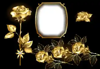 श्रेणी से फ़ोटो प्रभाव महिलाओं के फोटो फ्रेम № 169213