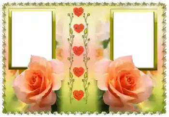 श्रेणी से फ़ोटो प्रभाव महिलाओं के फोटो फ्रेम № 169227