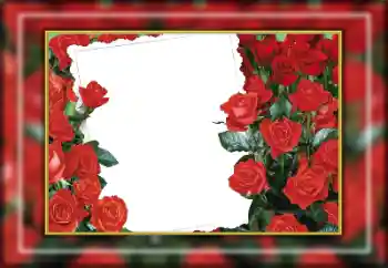 श्रेणी से फ़ोटो प्रभाव महिलाओं के फोटो फ्रेम № 169274