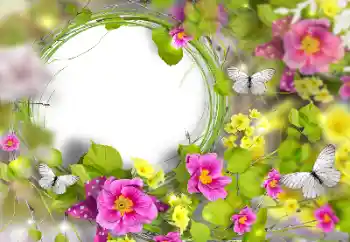 श्रेणी से फ़ोटो प्रभाव महिलाओं के फोटो फ्रेम № 170446