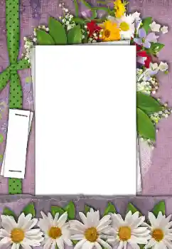 श्रेणी से फ़ोटो प्रभाव महिलाओं के फोटो फ्रेम № 170521