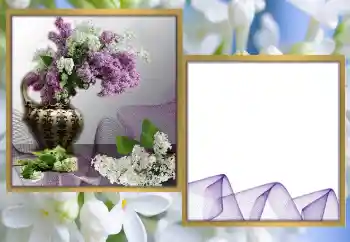 श्रेणी से फ़ोटो प्रभाव महिलाओं के फोटो फ्रेम № 170570