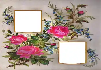 श्रेणी से फ़ोटो प्रभाव महिलाओं के फोटो फ्रेम № 171684