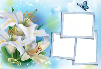 श्रेणी से फ़ोटो प्रभाव महिलाओं के फोटो फ्रेम № 171813