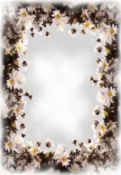 श्रेणी से फ़ोटो प्रभाव महिलाओं के फोटो फ्रेम № 172819