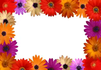 श्रेणी से फ़ोटो प्रभाव महिलाओं के फोटो फ्रेम № 172916