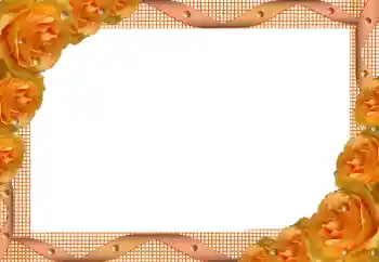 श्रेणी से फ़ोटो प्रभाव महिलाओं के फोटो फ्रेम № 172935