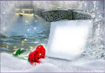 श्रेणी से फ़ोटो प्रभाव महिलाओं के फोटो फ्रेम № 172963