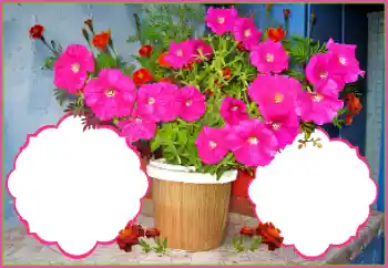 श्रेणी से फ़ोटो प्रभाव महिलाओं के फोटो फ्रेम № 172978