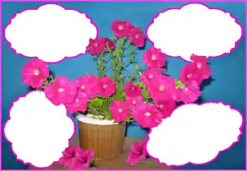 श्रेणी से फ़ोटो प्रभाव महिलाओं के फोटो फ्रेम № 172980