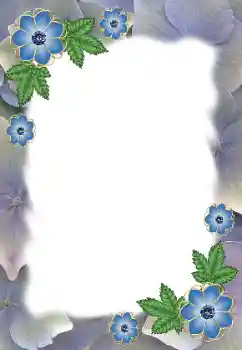 श्रेणी से फ़ोटो प्रभाव महिलाओं के फोटो फ्रेम № 172985