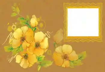 श्रेणी से फ़ोटो प्रभाव महिलाओं के फोटो फ्रेम № 172996