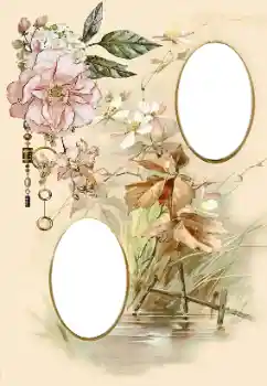 श्रेणी से फ़ोटो प्रभाव महिलाओं के फोटो फ्रेम № 174098