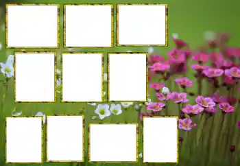 श्रेणी से फ़ोटो प्रभाव महिलाओं के फोटो फ्रेम № 174173