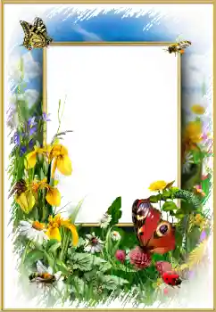 श्रेणी से फ़ोटो प्रभाव महिलाओं के फोटो फ्रेम № 175352