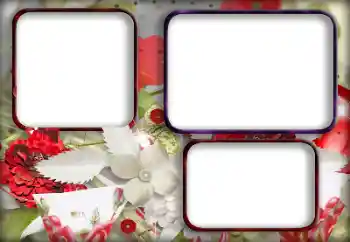 श्रेणी से फ़ोटो प्रभाव महिलाओं के फोटो फ्रेम № 175496