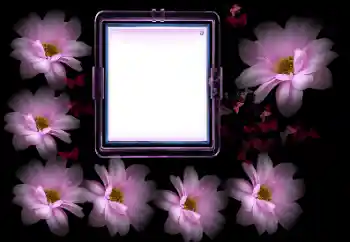 श्रेणी से फ़ोटो प्रभाव महिलाओं के फोटो फ्रेम № 175502