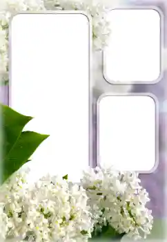 श्रेणी से फ़ोटो प्रभाव महिलाओं के फोटो फ्रेम № 176613