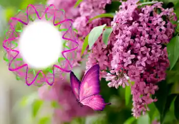 श्रेणी से फ़ोटो प्रभाव महिलाओं के फोटो फ्रेम № 176770