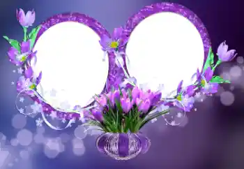 श्रेणी से फ़ोटो प्रभाव महिलाओं के फोटो फ्रेम № 176777