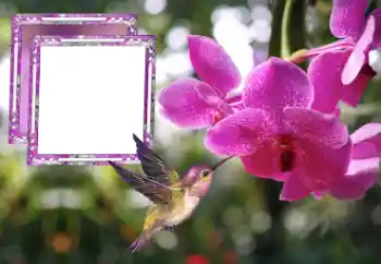 श्रेणी से फ़ोटो प्रभाव महिलाओं के फोटो फ्रेम № 176778