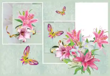 श्रेणी से फ़ोटो प्रभाव महिलाओं के फोटो फ्रेम № 176820