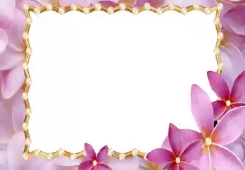 श्रेणी से फ़ोटो प्रभाव महिलाओं के फोटो फ्रेम № 177920