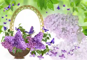 श्रेणी से फ़ोटो प्रभाव महिलाओं के फोटो फ्रेम № 177975