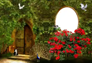 श्रेणी से फ़ोटो प्रभाव महिलाओं के फोटो फ्रेम № 178046