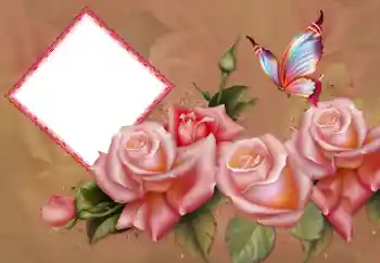 श्रेणी से फ़ोटो प्रभाव महिलाओं के फोटो फ्रेम № 178101