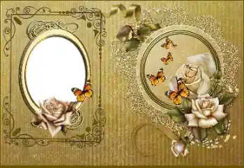 श्रेणी से फ़ोटो प्रभाव महिलाओं के फोटो फ्रेम № 178245